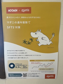 IMG_5324.jpeg