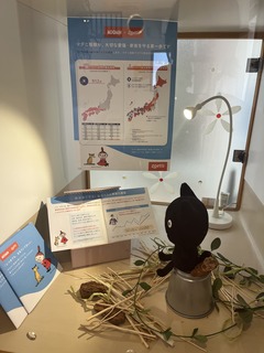 IMG_5325.jpeg
